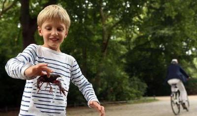 效仿中国料理烹饪，德国小龙虾或将人工养殖？称：太爱十三香了