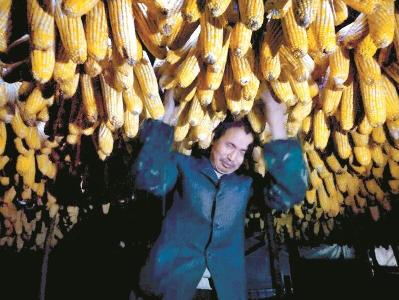 利川大山深处，盲父种地养猪撑起三个女儿的天