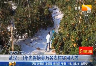 武汉：3年内将培养万名农村实用人才