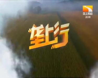 垄上行 2019-12-17