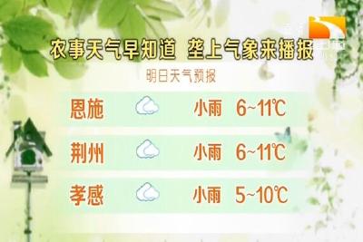 垄上气象站 2019-12-16
