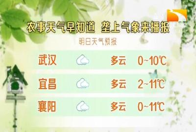 垄上气象站 2019-12-26