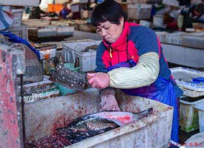 养鱼失败欠下巨债，武汉孤掌杀鱼姐20年还“良心债”近百万