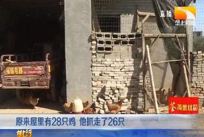 作案200多起 这伙 “偷鸡贼” 栽了