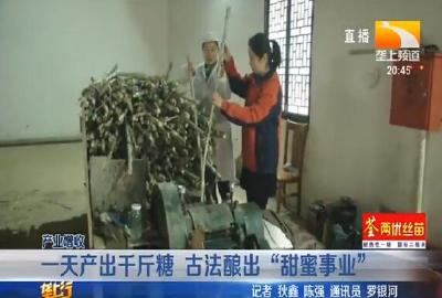 一天产出千斤糖 古法酿出“甜蜜事业”