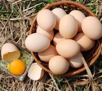 到底什么蛋是土鸡蛋？全国第一个“土鸡蛋”相关标准在湖北诞生