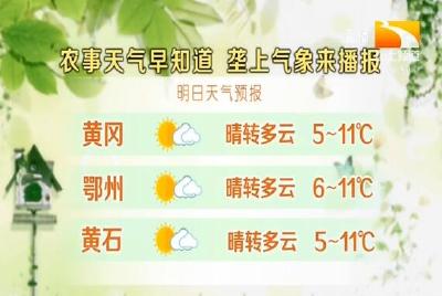 垄上气象站 2019-12-22