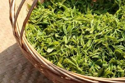 湖北茶叶出口量居全国第五 今年茶叶总产量达33万吨