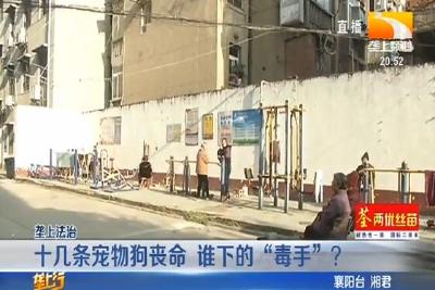 十几条宠物狗丧命 谁下的“毒手”？