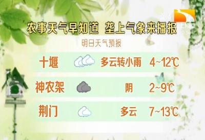 垄上气象站 2019-12-13