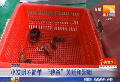小发明不简单 “秒杀”黄鳝和泥鳅