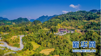 定点帮扶用真情 湖北民政助力鄂西山村打造美丽乡村