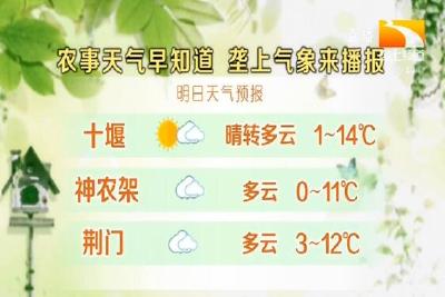 垄上气象站 2019-12-21
