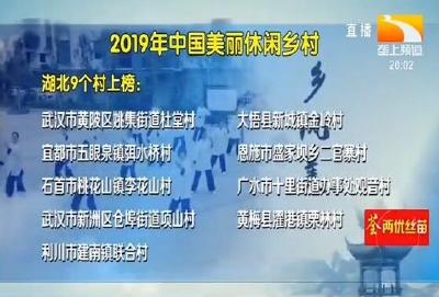 湖北9个村入选2019年中国美丽休闲乡村