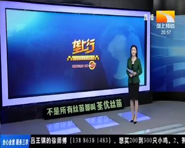 登大明玉顶 购特色山货