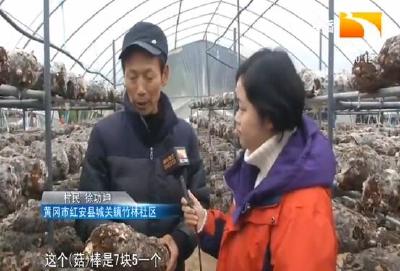 乡亲说“惠”