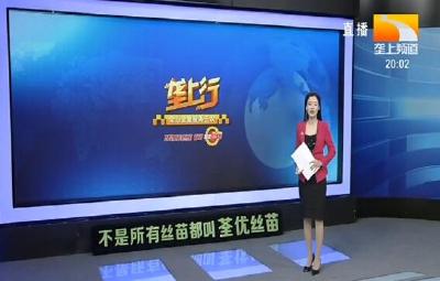 垄上行 2020-01-08