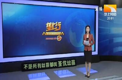 垄上行 2020-01-10