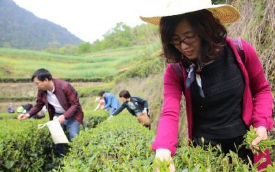 7.87万荆楚扶贫干部拼搏在一线