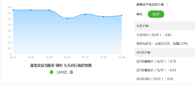 【柑价】2020年1月9日湖北柑橘、橙子行情