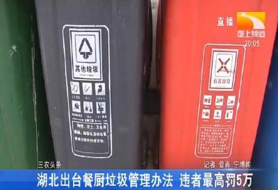湖北出台餐厨垃圾管理办法 违者最高罚5万