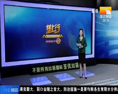 联欢会精彩回顾 说说那些“最”