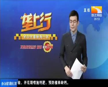 汽车冲入河道 消防员搭梯救人