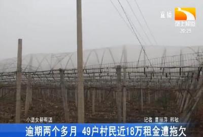 逾期两个多月 49户村民近18万租金遭拖欠