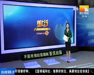 年货节好热闹 “名优土特” 农产品一站购