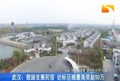 武汉: 鼓励发展民宿 达标区域最高奖励50万