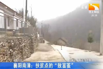 襄阳南漳: 扶贫点的 “致富茧”