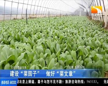 建设“菜园子” 做好“菜文章”
