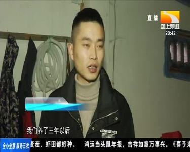 “黑灯瞎火”搞养殖 年入八十万