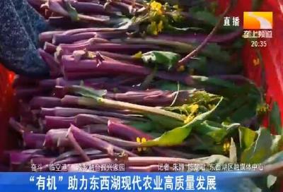“有机” 助力东西湖现代农业高质量发展