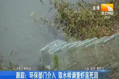 跟踪: 环保部门介入 取水样调查虾苗死因