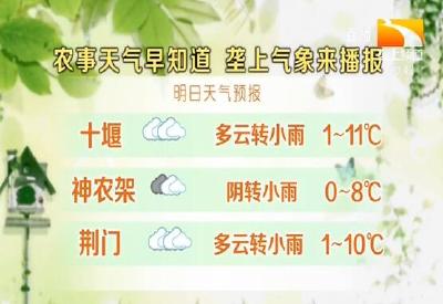 垄上气象站 2020-01-19