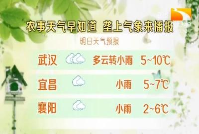垄上气象站 2020-01-03