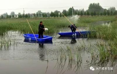 公安县闸口镇：小龙虾闯出红红火火脱贫致富路