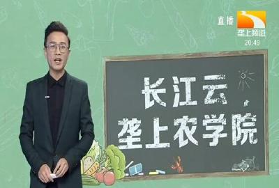 垄上农学院 2020-01-08