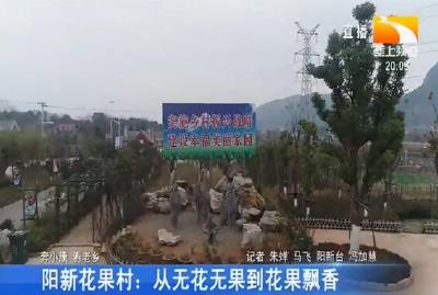 阳新花果村: 从无花无果到花果飘香