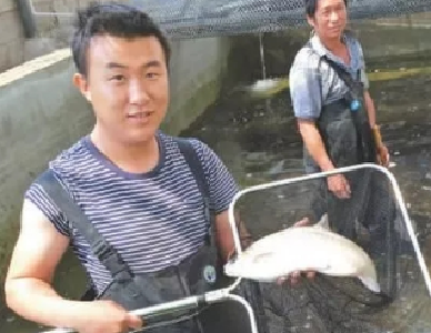 海外归来，他却养起了土著鱼，一茬鱼盈利两三百万元！