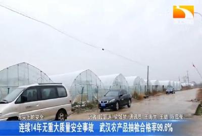 连续14年无重大质量安全事故 武汉农产品抽检合格率99.6%