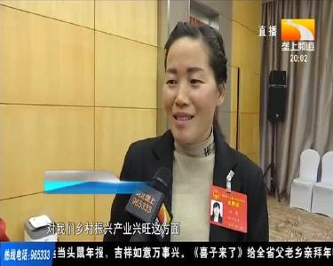 《湖北省乡村振兴促进条例（草案）》提请审议 代表们都关注啥？