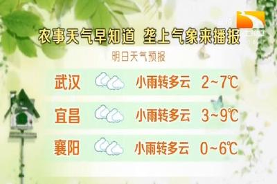 垄上气象站 2020-01-21