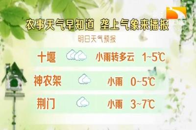 垄上气象站 2020-01-20