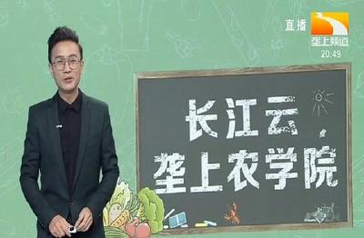 长江云-垄上农学院 2020-01-10