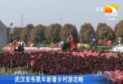 武汉发布鼠年新春乡村游攻略