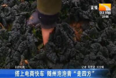 搭上电商快车 随州泡泡青 “走四方”