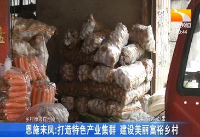 恩施来凤：打造特色产业集群 建设美丽富裕乡村