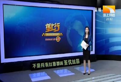垄上行 2020-01-19